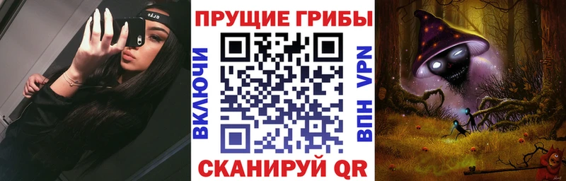 kraken ссылки  Амурск  Псилоцибиновые грибы Cubensis 